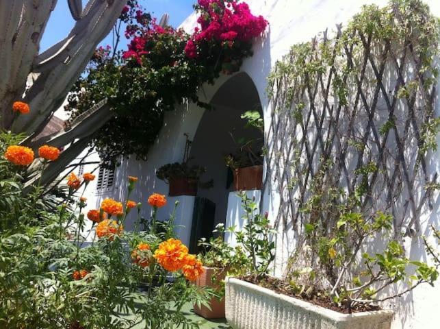 Villa Tranquila Orzola Extérieur photo